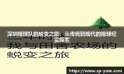 深圳排球队的蜕变之旅：从传统到现代的排球纪实探索