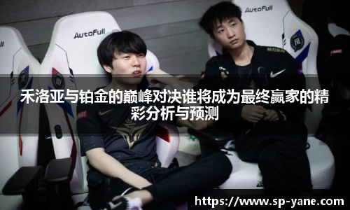 禾洛亚与铂金的巅峰对决谁将成为最终赢家的精彩分析与预测